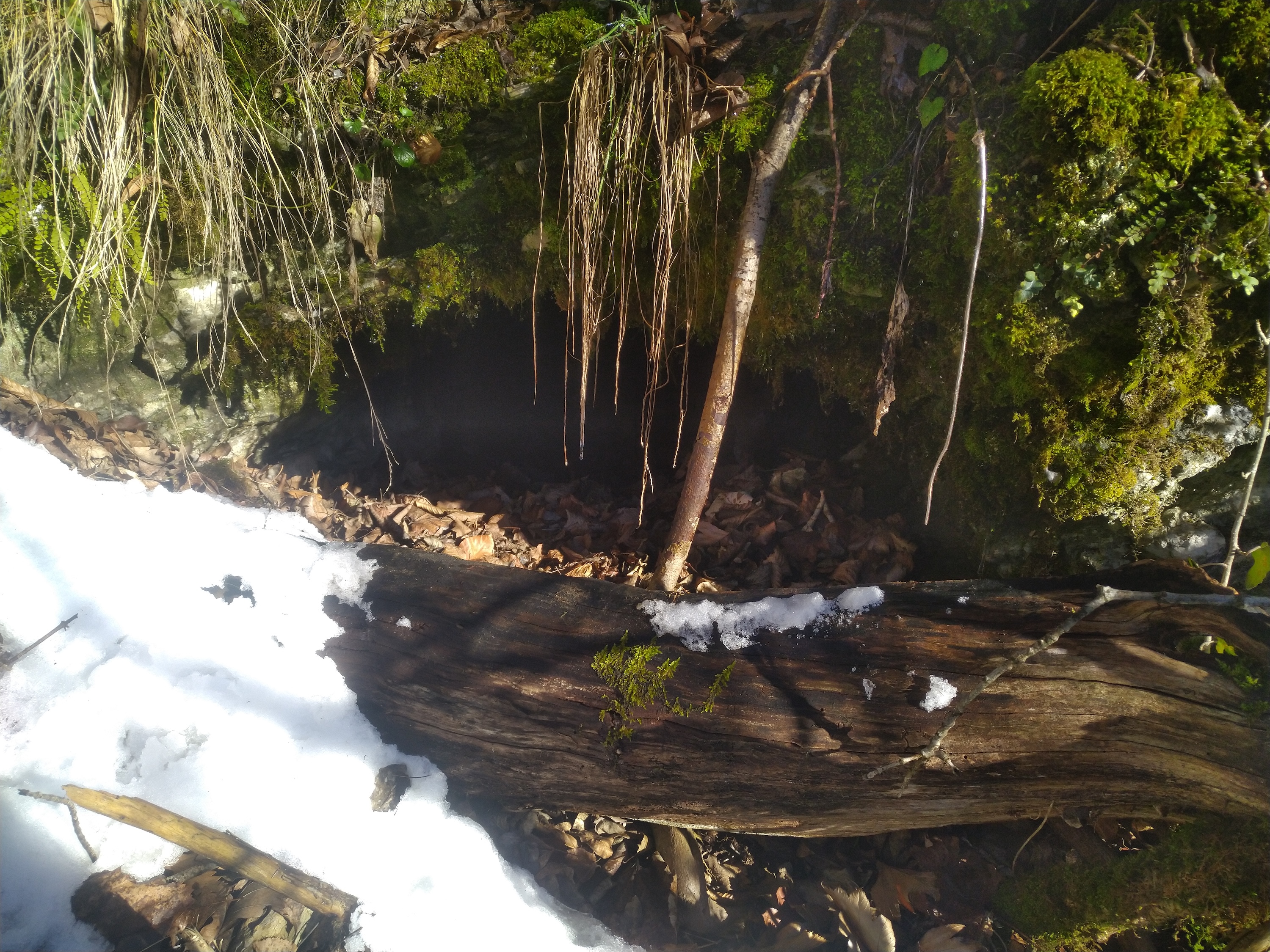 Peștera Nr.3 din Valea Comarnic - Image 1